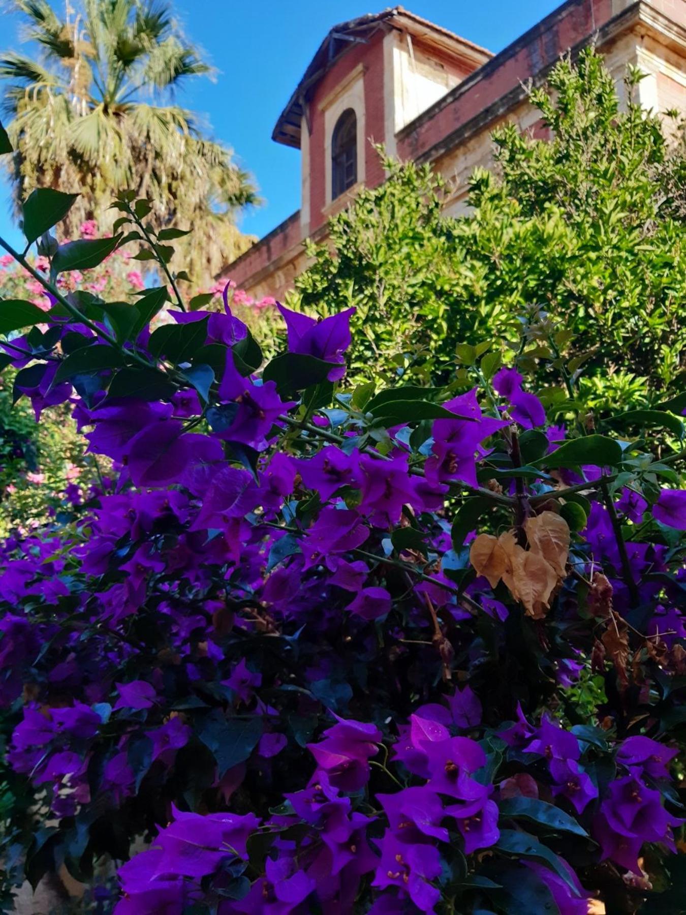 Avgi Garden House Chania With Private Entrance 外观 照片