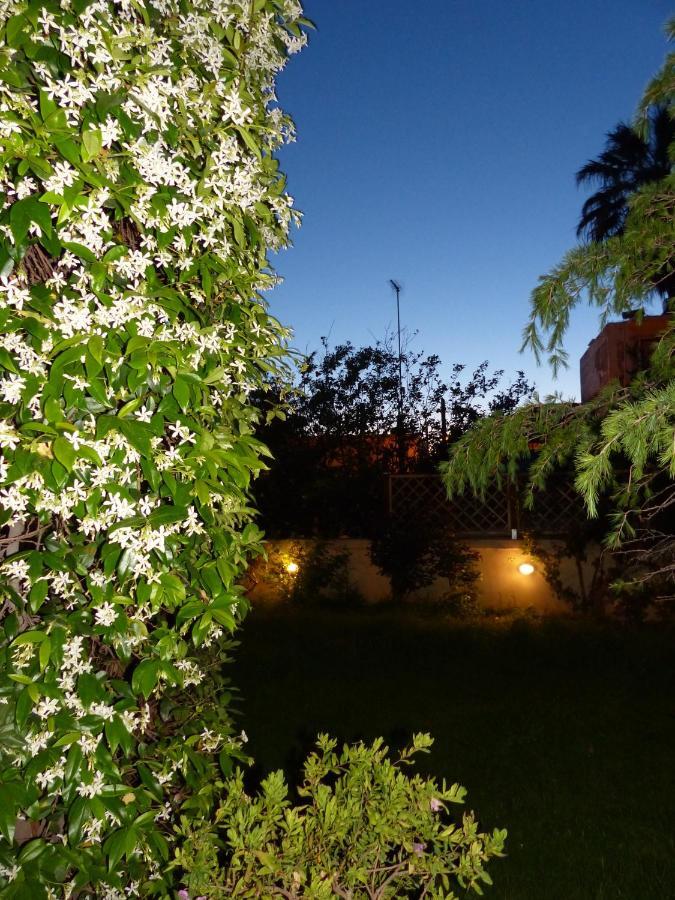 Avgi Garden House Chania With Private Entrance 外观 照片